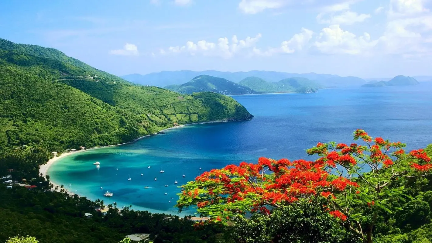 高效高质量智能系统