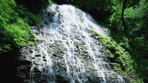 精密精密高效